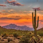 Canyon Ranch Arizona