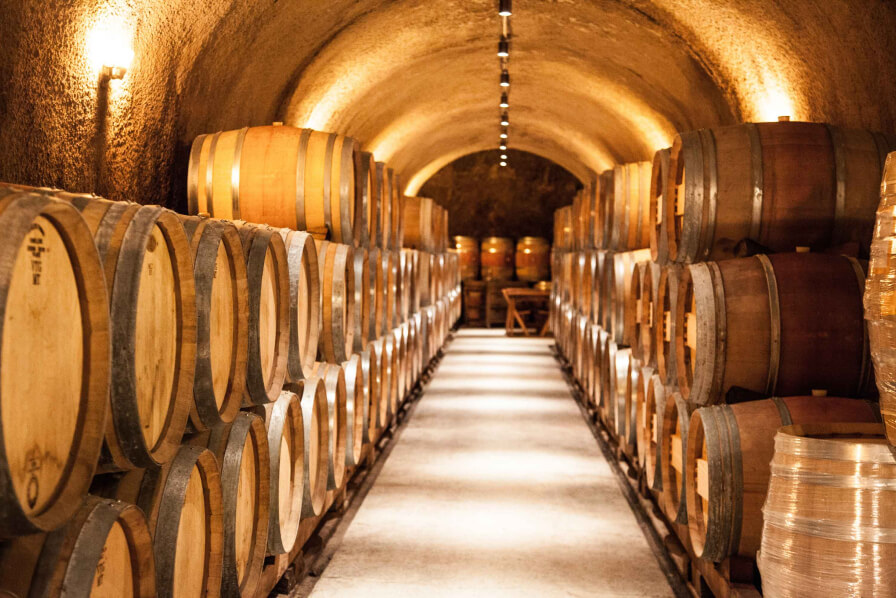 Napa Valley 2024