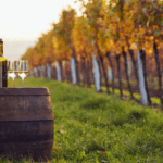 Napa Valley, California